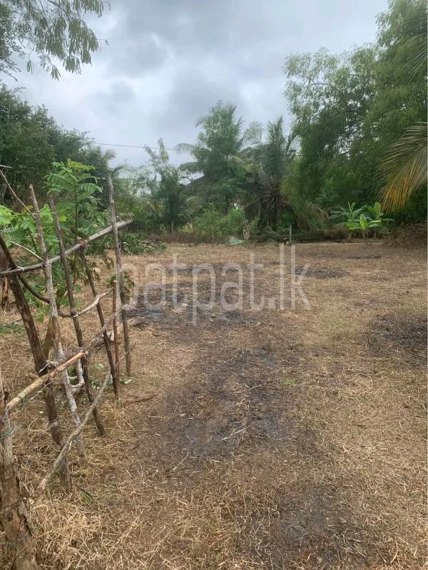 Agricultural Land for Sale in Gampola
