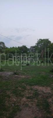 premium-listing-image