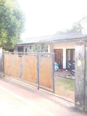 premium-listing-image