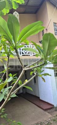 premium-listing-image