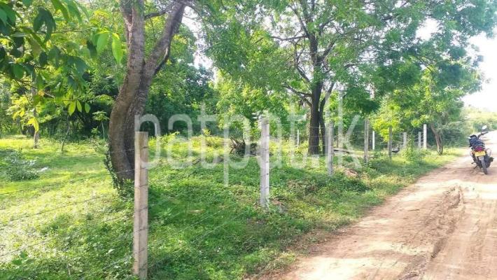 Agricultural Land for Sale in Kataragama