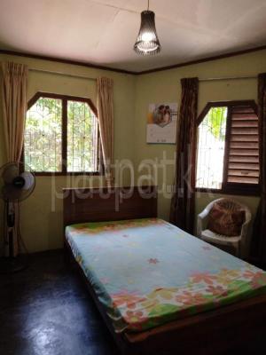 premium-listing-image