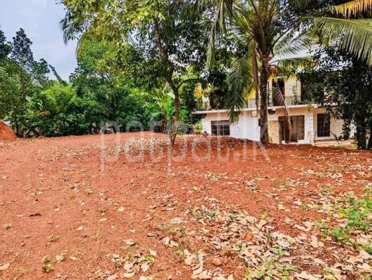 premium-listing-image