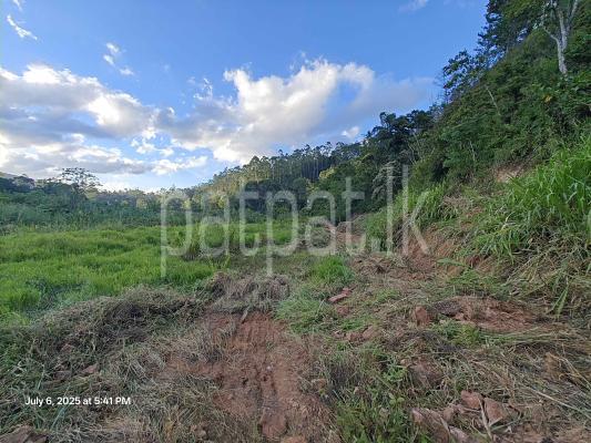 Residential Land for Sale in Bandarawela