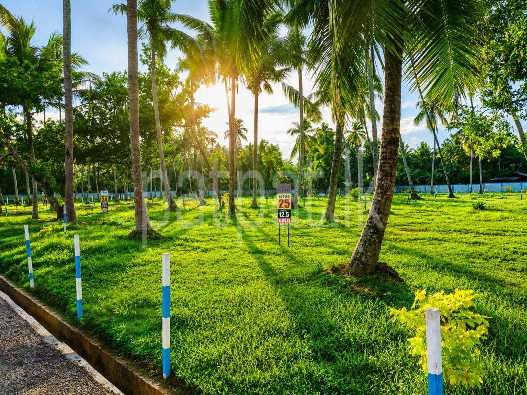 Residential Land for Sale in Pannala