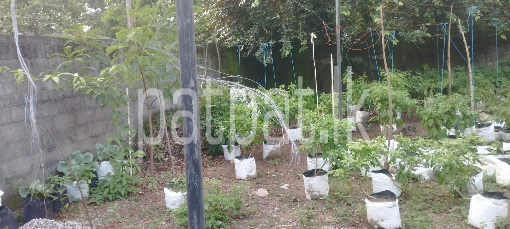 Residential Land for Sale in Malabe