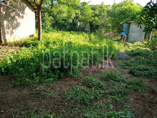 premium-listing-image