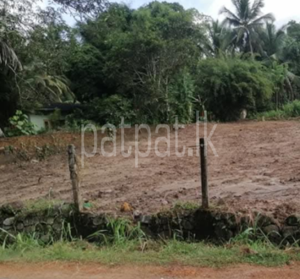 premium-listing-image