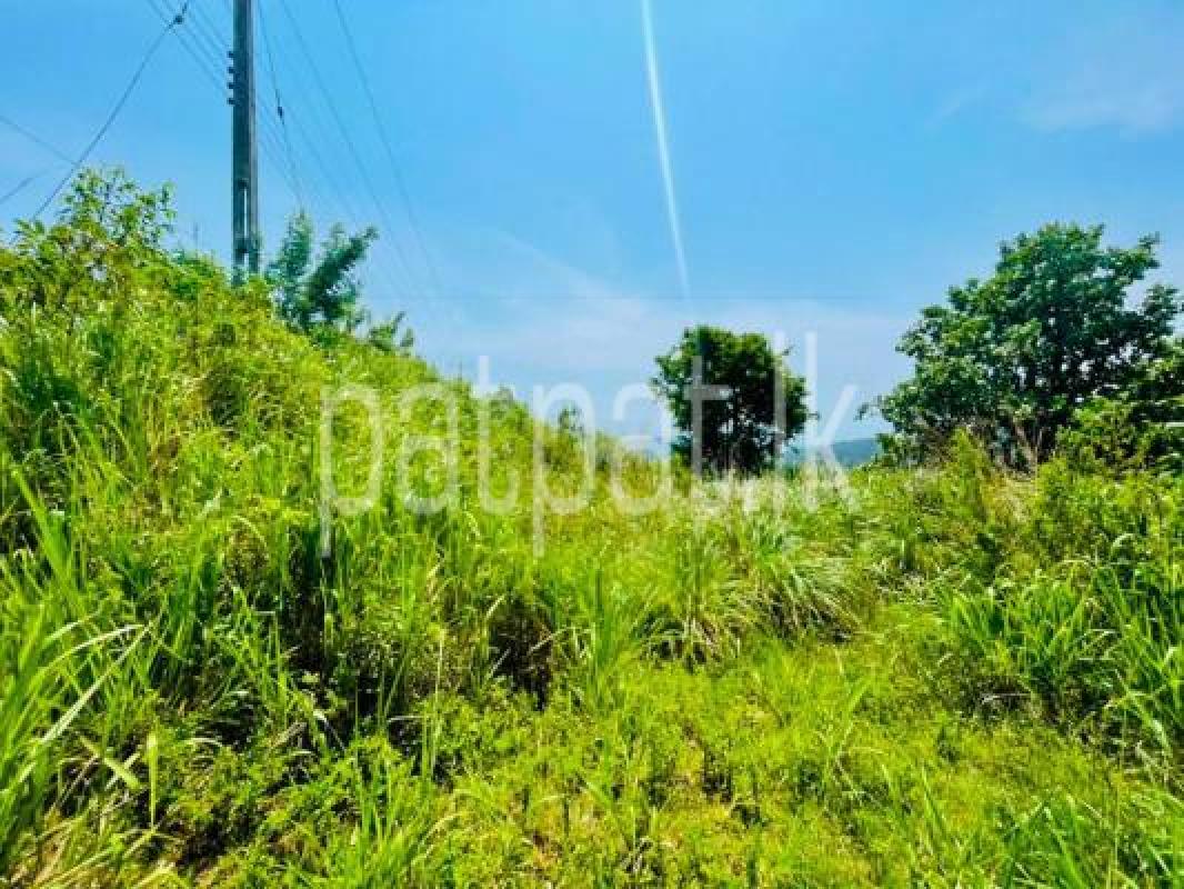 Agricultural Land for Sale in Kandy