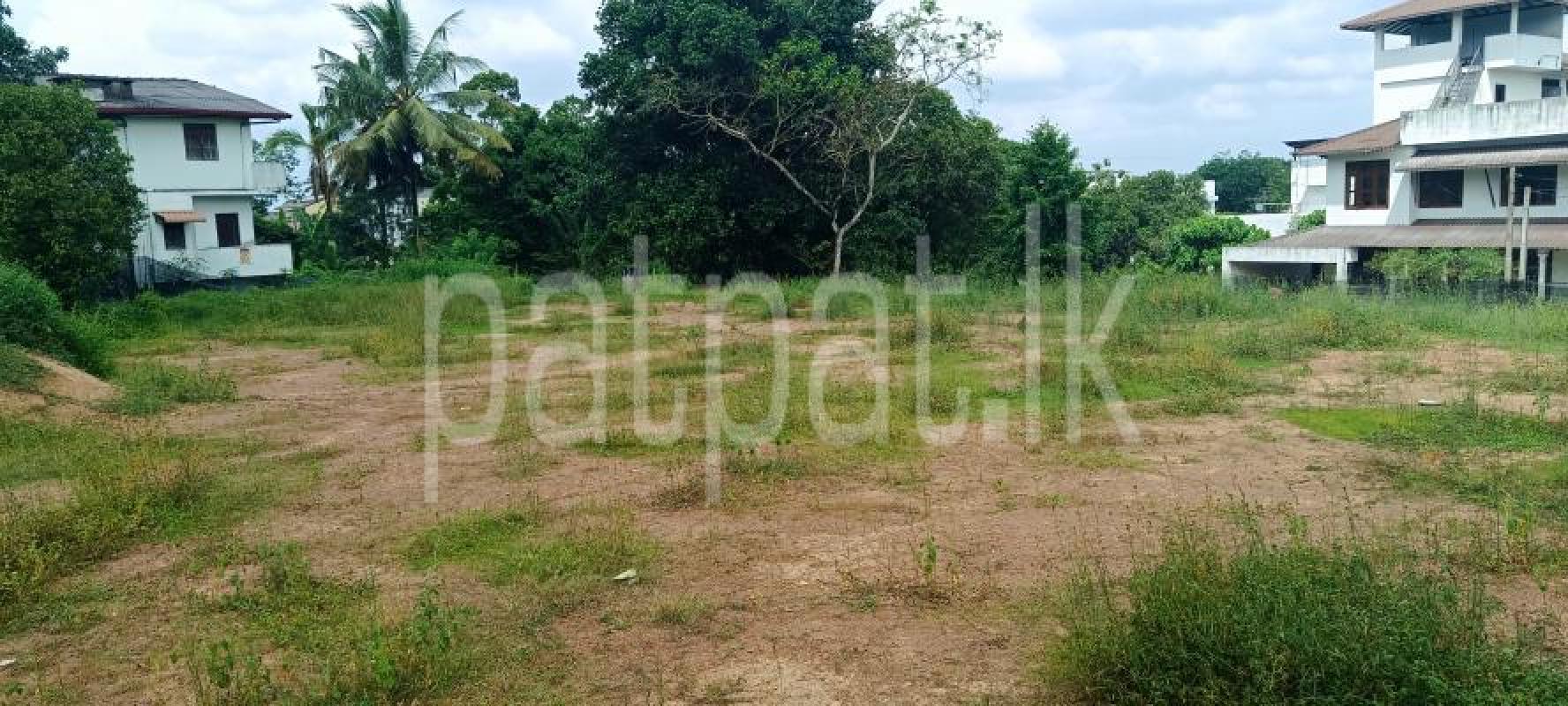 Commercial Land for Rent in Hokandara