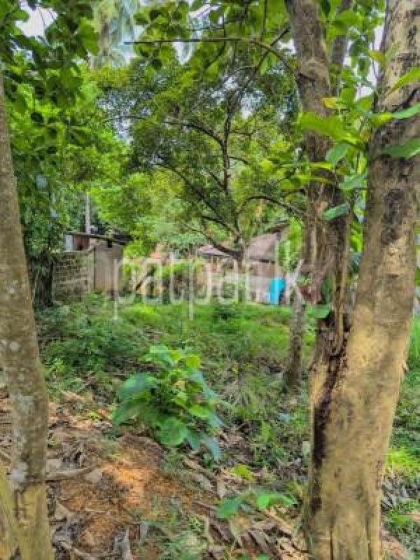 Residential Land for Sale in Nittambuwa