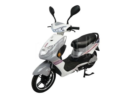 premium-listing-image