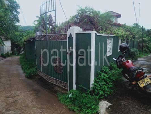 premium-listing-image