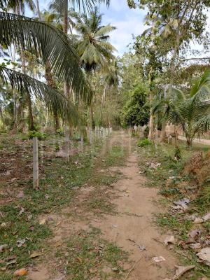 Residential Land for Sale in Katana