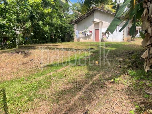 Agricultural Land for Sale in Nittambuwa