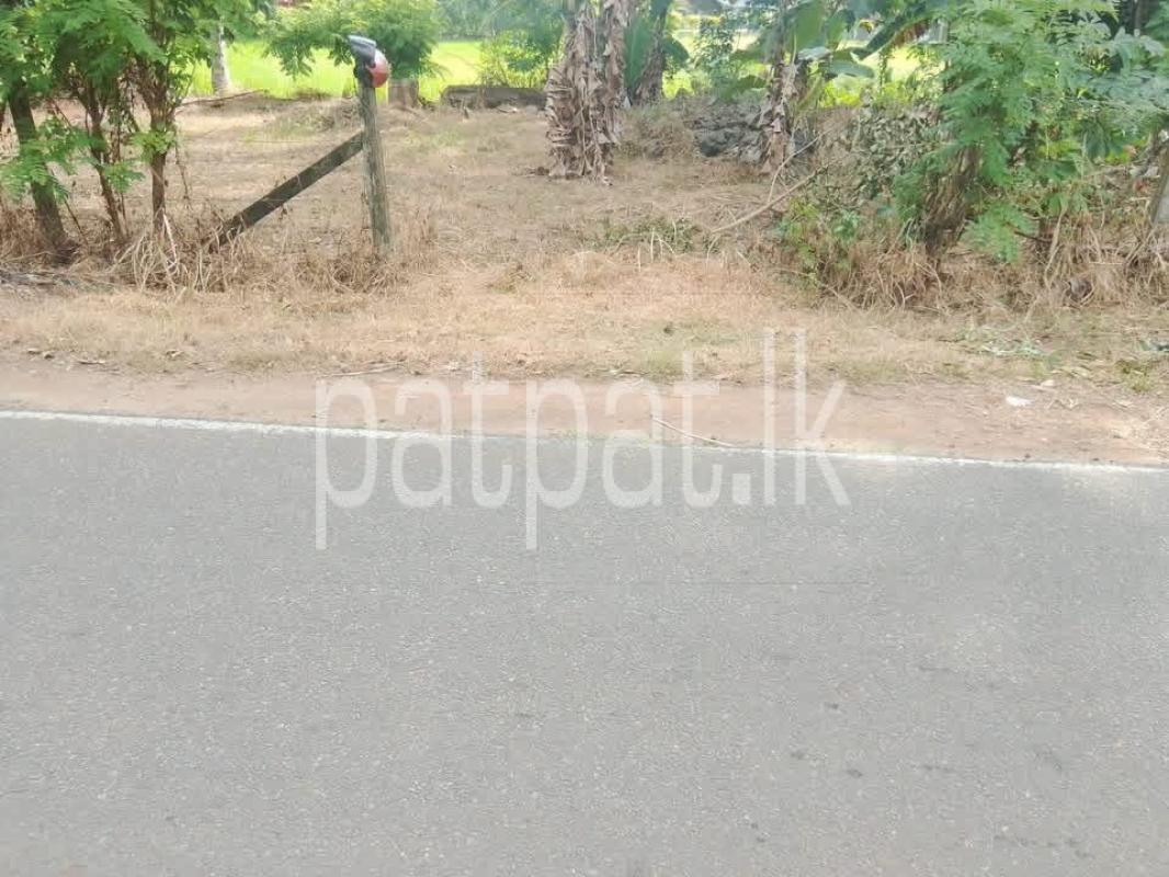 Agricultural Land for Sale in Ibbagamuwa