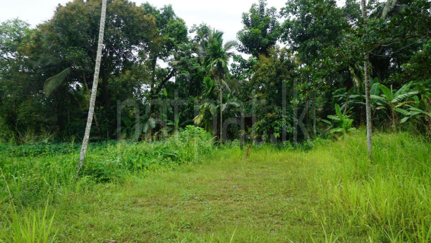 Residential Land for Sale in Pepiliyawala