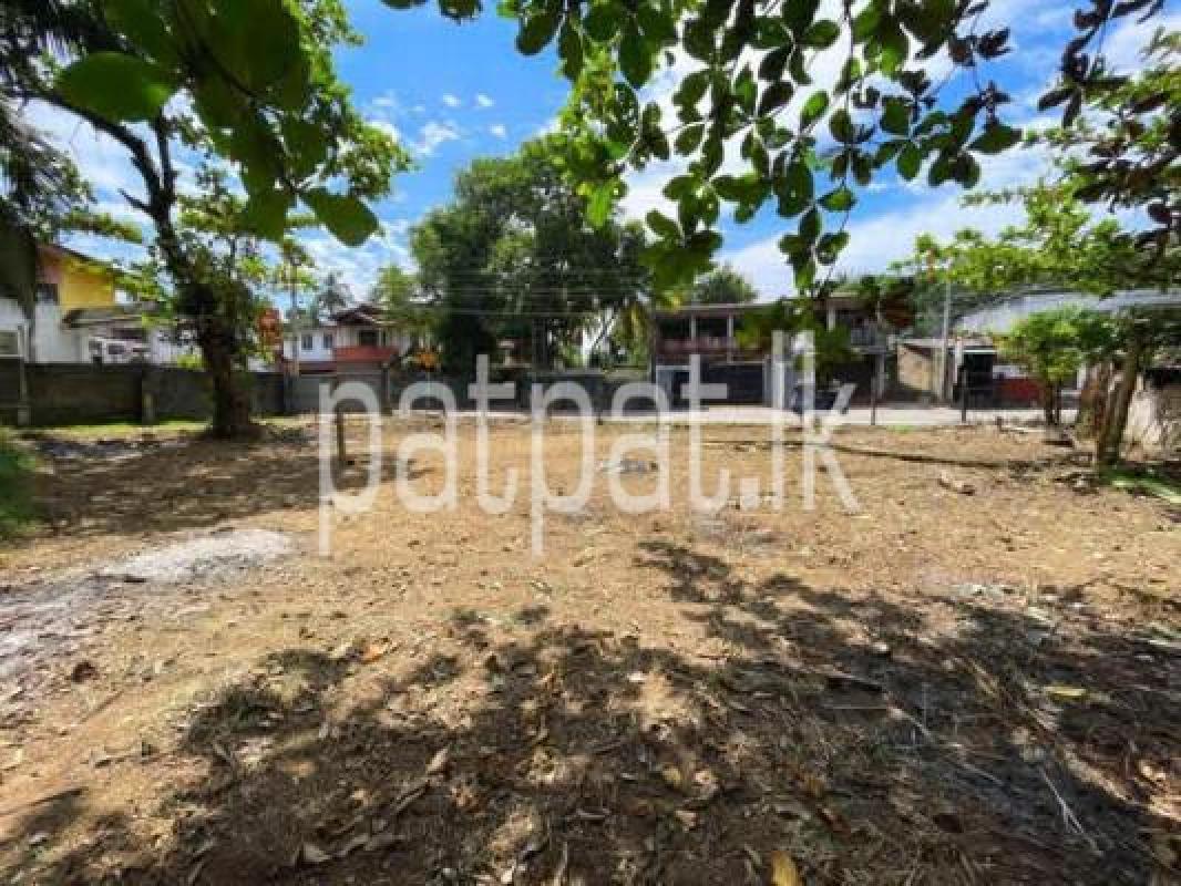 Agricultural Land for Sale in Kelaniya