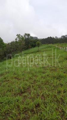 premium-listing-image