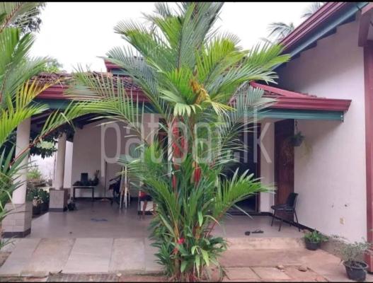 premium-listing-image