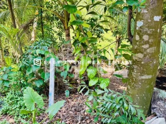 Residential Land for Sale in Siyambalape