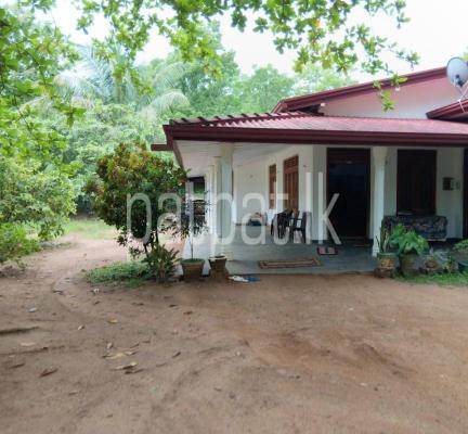 premium-listing-image