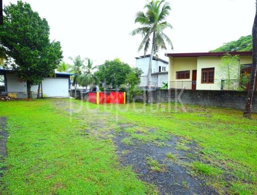 premium-listing-image