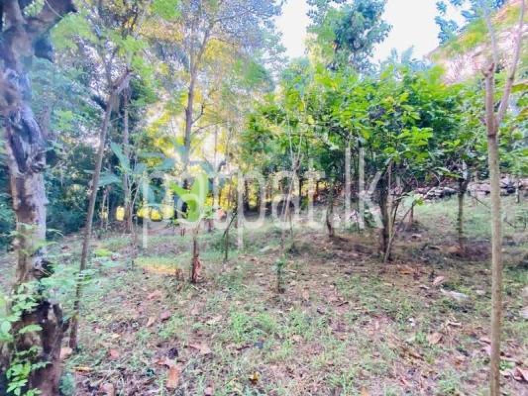 Residential Land for Sale in Teldeniya