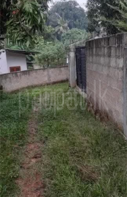 premium-listing-image