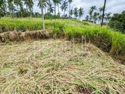 Commercial Land for Sale in Nittambuwa