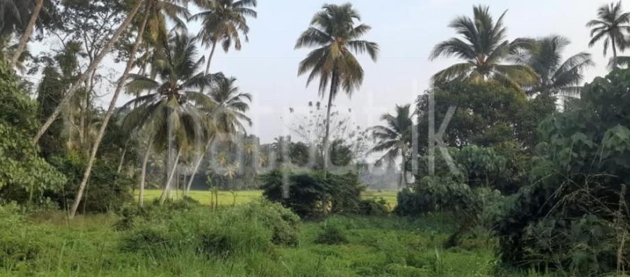 Agricultural Land for Sale in Unawatuna