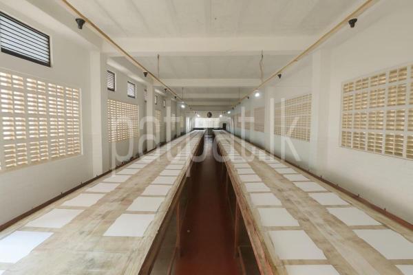 Factory / Workshop for Sale in Panadura