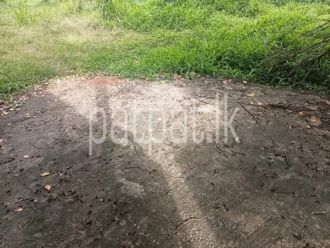 Agricultural Land for Sale in Kandy