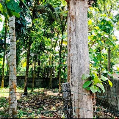 Residential Land for Sale in Kalutara