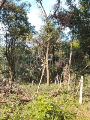 Commercial Land for Sale in Balangoda