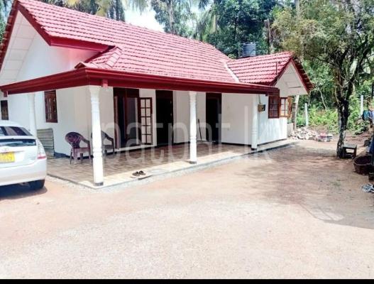 premium-listing-image