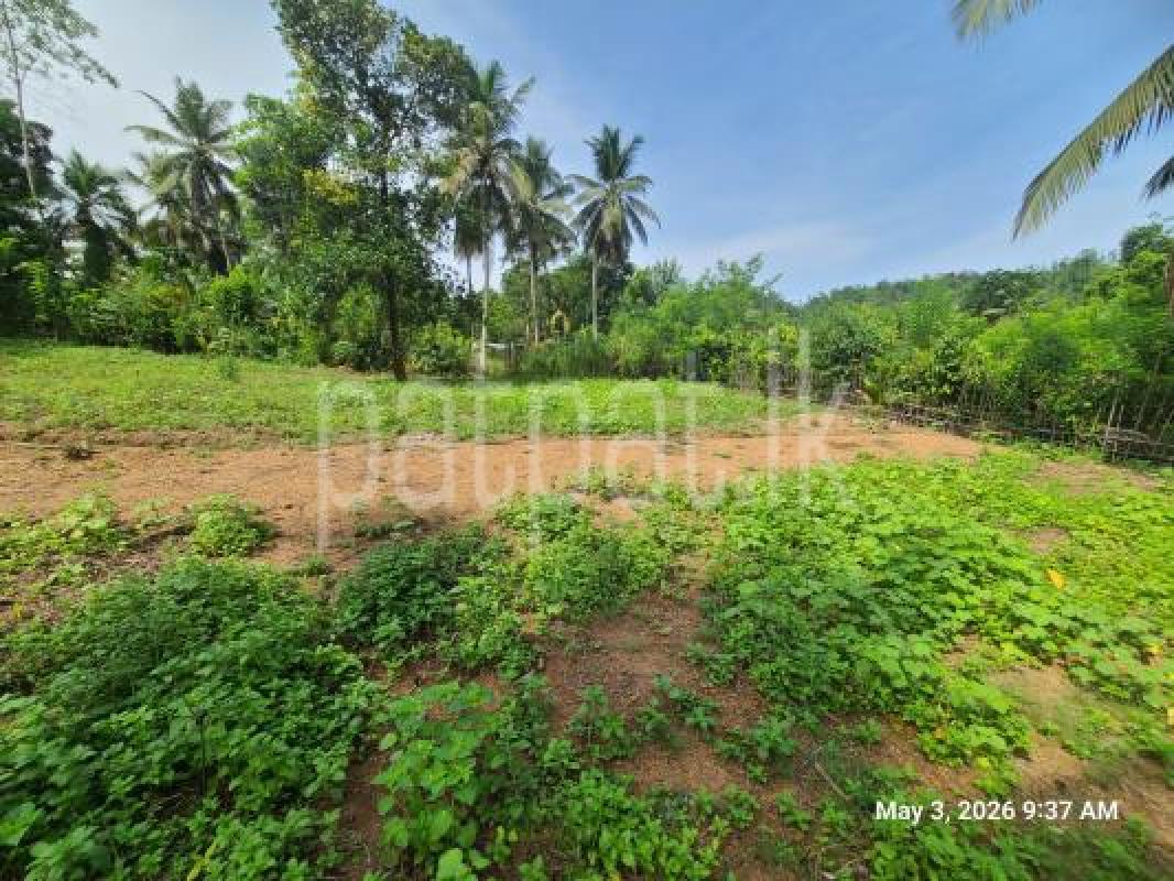 Agricultural Land for Sale in Pitigala