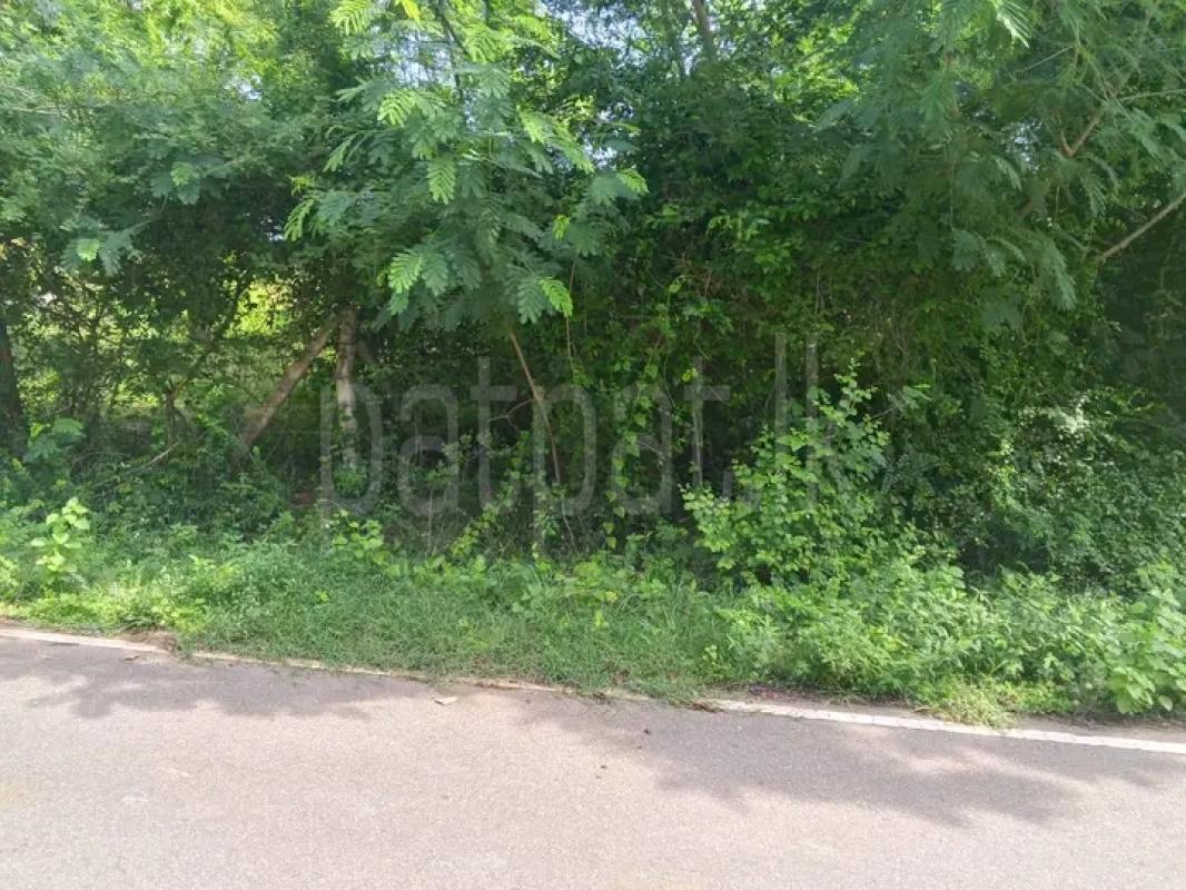Commercial Land for Sale in Tangalla