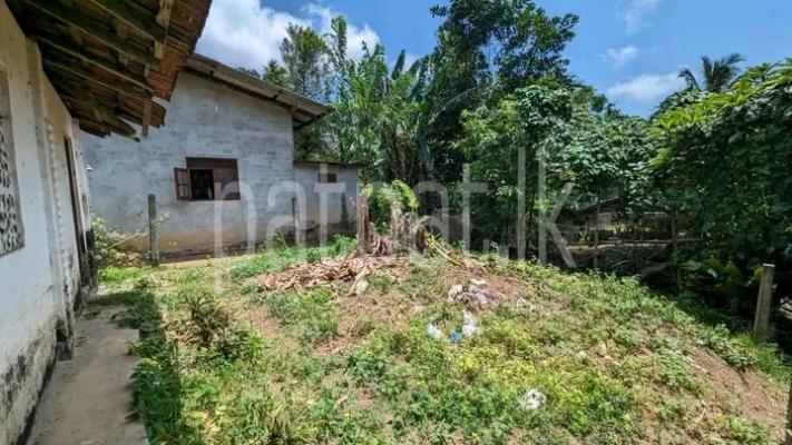 premium-listing-image