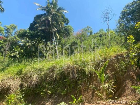 premium-listing-image