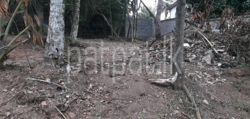 premium-listing-image