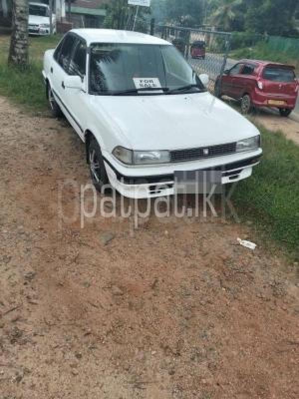 Toyota Corolla 1986 - භාවිතා කරන ලද කාර් sale in Sri Lanka - patpat.lk