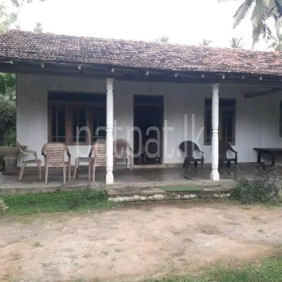 premium-listing-image