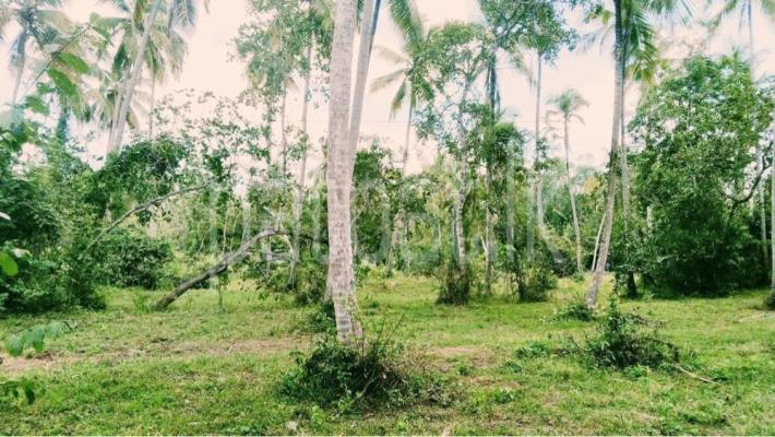 Agricultural Land for Sale in Wariyapola