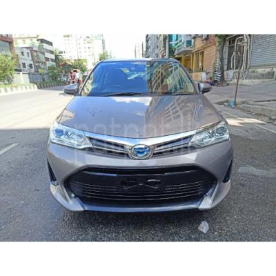 Toyota Axio 2024 - භාවිතා කරන ලද කාර් sale in Sri Lanka - patpat.lk