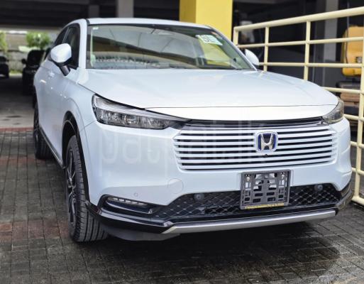 premium-listing-image