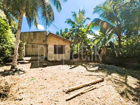 Commercial Land for Sale in Pugoda