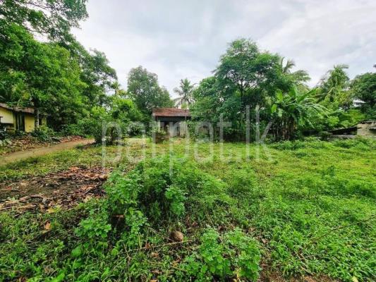 listing-image