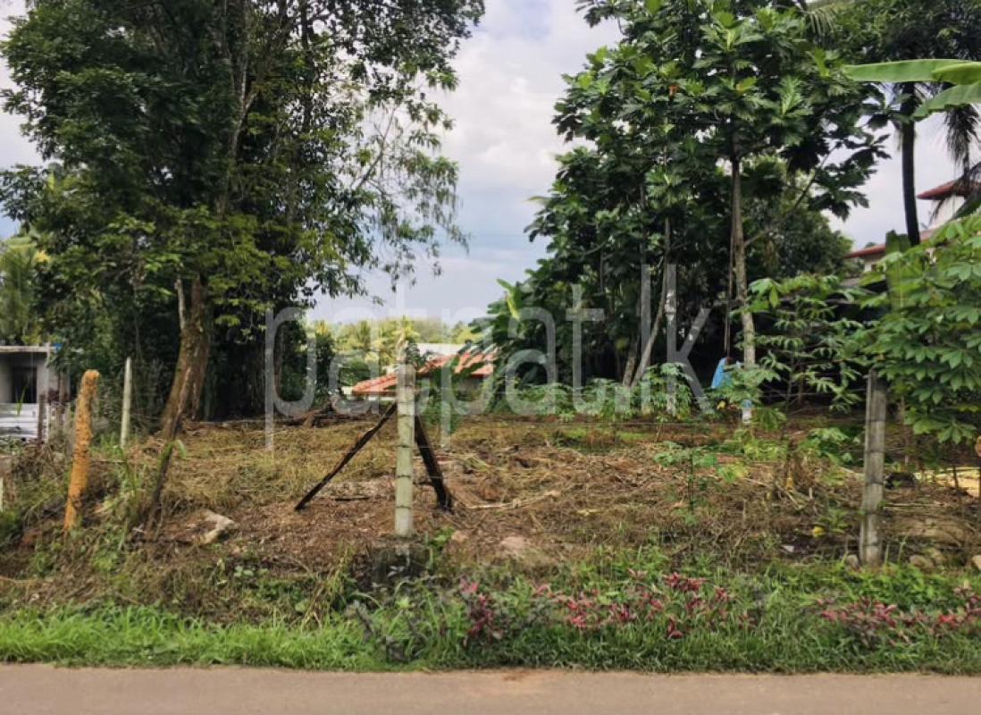 Agricultural Land for Sale in Kahathuduwa