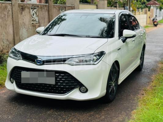 premium-listing-image